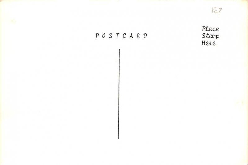 Popeye, Popeye Cartoon 