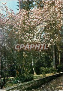 'Postcard Modern Giardini Dell''Isola Madre (Lake Maggiore)'