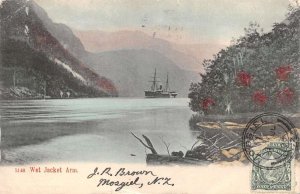 Mosgiel New Zealand Wet Jacket Arm Moana Uta Ship Scenic View Postcard AA76558