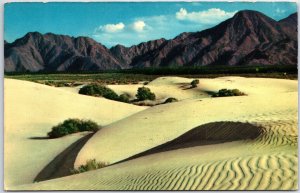 VINTAGE POSTCARD SOUTHERN CALIFORNIA SAND DUNES SCENE c. 1970s