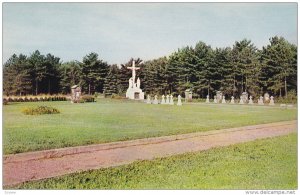 Divine Word Cemetery , GIRARD , Pennsylvania , 50-60s