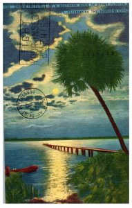 Under the Spell of a Southern Moon St Petersburg Florida Postcard Posted 1954
