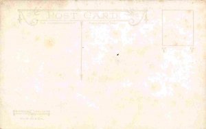 High School Sparta Wisconsin 1910c postcard