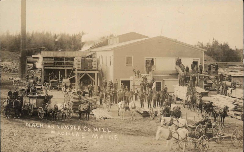 Machias ME Lumber Co Mill Busy Scene Workers c1905 Real Photo Postcard