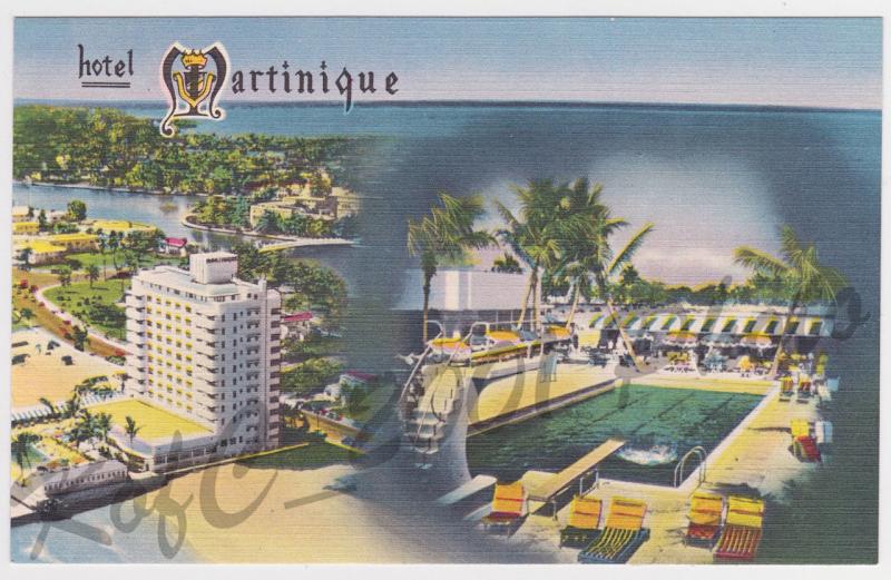 Hotel Martinique Miami Beach Vintage Postcard Colourpicture