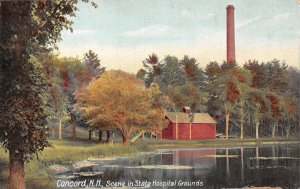 Concord New Hampshire Scene in State Hospital Grounds,Color Lithograph PC U11818