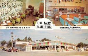 Sterling Colorado multi-views Blue Bird Cafe & Texaco Stn vintage pc BB2974