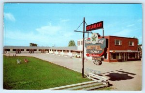 WINDSOR, Ontario Canada ~ Roadside MAPLE LEAF MOTEL Restaurant 1959 Postcard