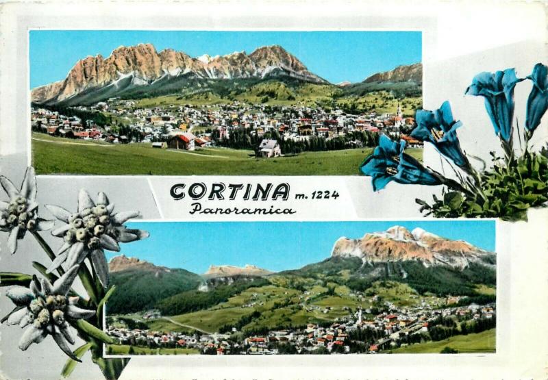 Italy Cortina panoramica alpine flowers semi-modern postcard