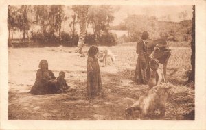 A621 Egypt Cairo Family Peasants Cattle Goat Children vintage postcard