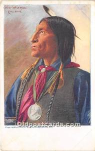 Chief Wolf Robe Cheyenne Indian Postcard