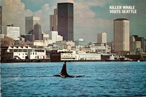Washington Seattle Elliott Bay With Killer Whale