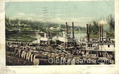 Cotton Landing Ferry Boats, Ship 1906 