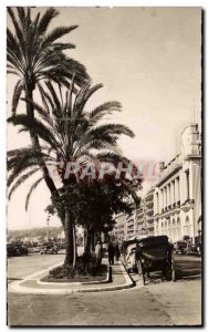 Old Postcard Nice Palms On The Promenade Des Anglais