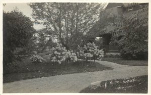 c1910 RPPC Postcard; Lilac Flowers in a Kalispell MT Garden, Phelps Photo