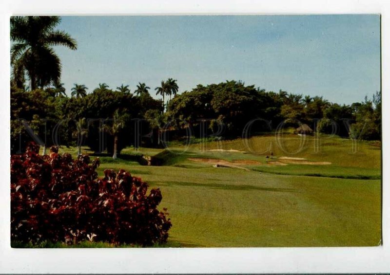 3085060 CUBA GOLF El Country Club in Havana Vintage photo PC2