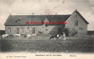 Germany, Brecht, Modelhoeve van Mr Van Olmen, 1907 PM 