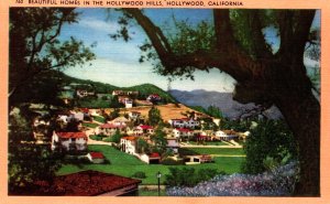 USA Beautiful Homes In The Hollywood Hills California Linen Postcard 09.84