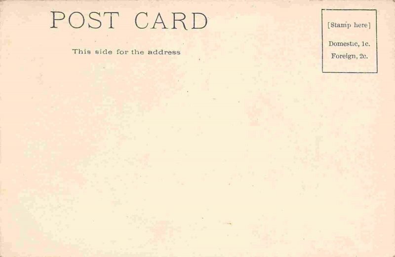 Wabash Avenue Terre Haute Indiana 1905c postcard