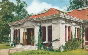 NEW YORK NY ZOOLOGICAL PARK REPTILE HOUSE POSTCARD c1910s