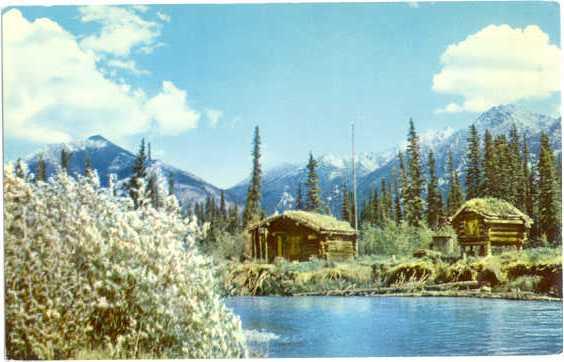 Trappers Cabin, a Typical Alaska Scene in the Fur Industry, Chrome