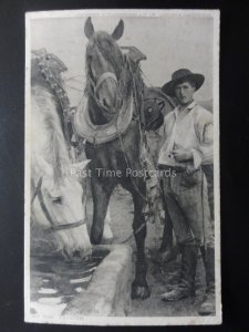 Country Theme Depicts SHIRE HORSE AT THE TROUGH c1905 Postcard