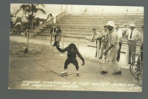 Fort Lauderdale FLORIDA RPPC 1930s CLYDE BEATTY Jungle Zoo CHIMP SKATING Circus