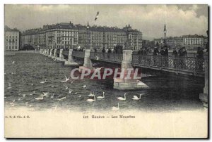 Old Postcard Geneve The Seagulls