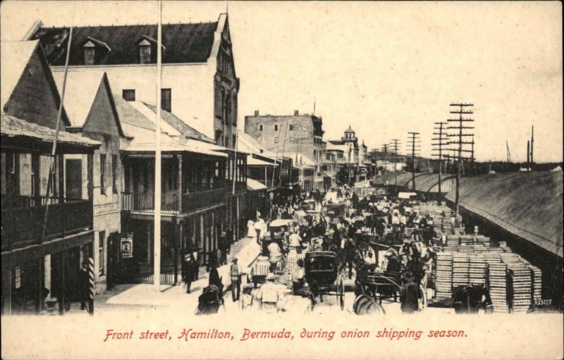 Hamilton Bermuda Onion Shipping Scene Front Street c1910 Vintage Postcard