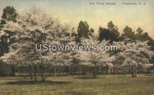 The Three Graces - Pinehurst, North Carolina NC  