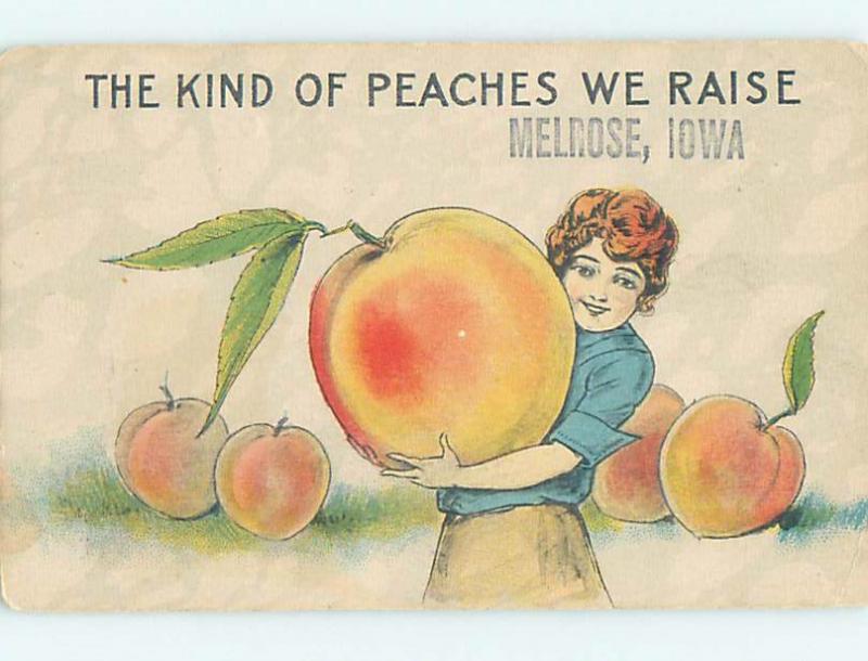 Divided-Back PEACH EXAGGERATION Melrose Iowa IA HM4671