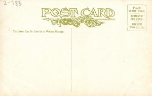 Nebraska State Flower - Golden Rod