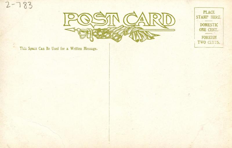 Nebraska State Flower - Golden Rod