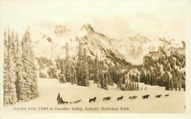 Alaska Dog Team Paradise Valley Rainier 1920s Washington RPPC Postcard 4280