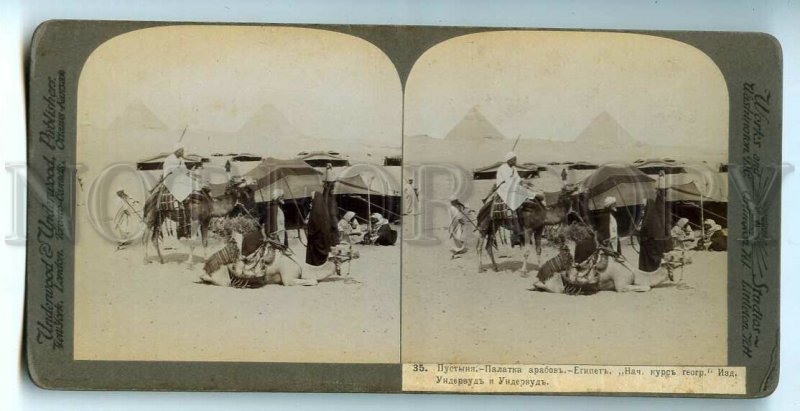 439735 Bedouin villages in the Libyan desert Africa camels Vintage STEREO PHOTO