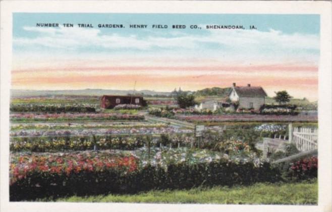 Iowa Shenandoah Number Ten Trial Gardens Henry Field Seed Company