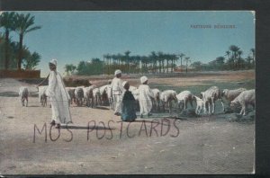 Egypt Postcard - Pasteure Bedouins    RS16147