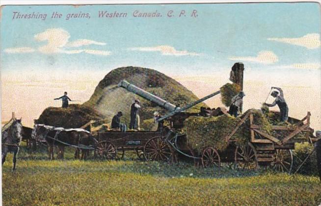 Western Canada Threshing The Grains 1910