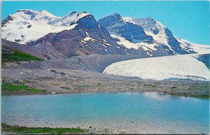 Alberta Columbia Icefields Panorama Mt. Athabasca AB Unused Vintage Postcard H3