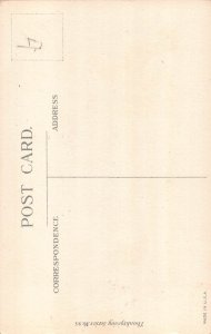 Thanksgiving Greeting Turkey Poultry Flag Pumpkin postcard B989