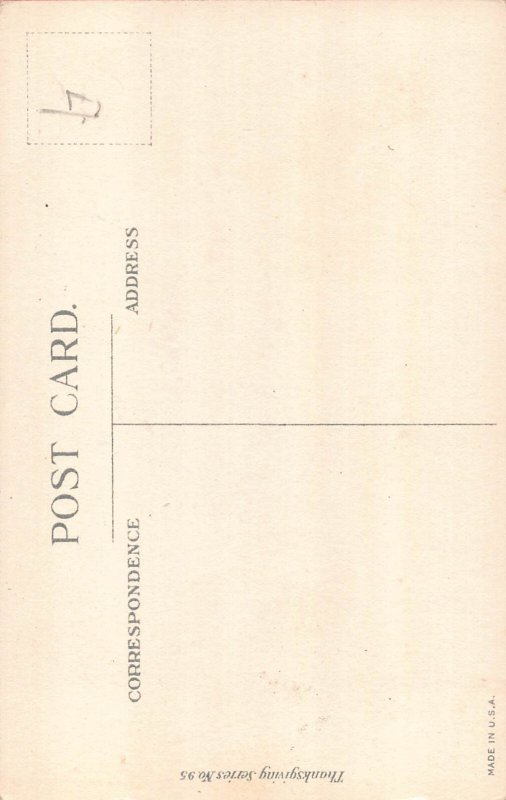 Thanksgiving Greeting Turkey Poultry Flag Pumpkin postcard B989