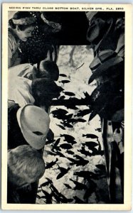 Postcard - Seeing Fish Thru Glass Bottom Boat - Silver Springs, Florida