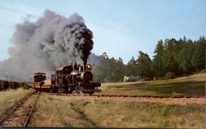 Logs and Passengers - Steam Train near Felton CA, California