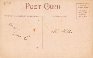 J83/ Egg Harbor City New York Postcard c1910 Rustic Bridge 18