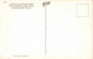 Postcard Desert Yucca Sunset New Mexico