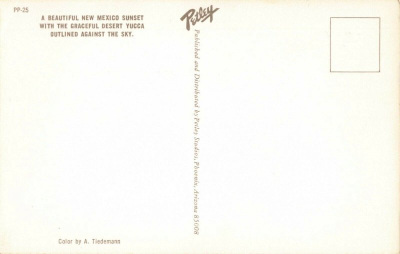 Postcard Desert Yucca Sunset New Mexico