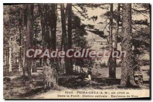 Postcard Old PEIRA CAVA In the summer Foret Station