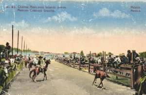 Mexico Mexican Cowboys Lassoing Mexico City Vintage Postcard 03.98