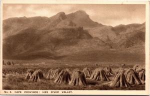 Cape Province, Hex River Valley South Africa Vintage Postcard H22