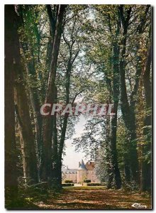 Postcard Modern Ricey Netherlands Aube The allee of plane trees